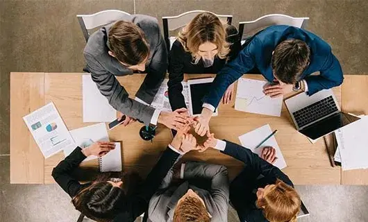  Professional Implementation Team 